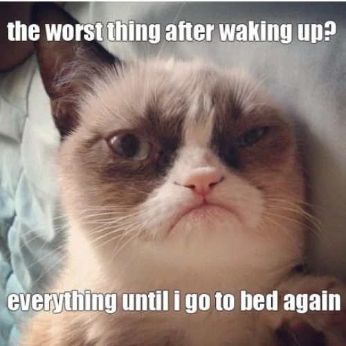 Grumpy-cats-worst-thing-after-waking-up_large.jpg