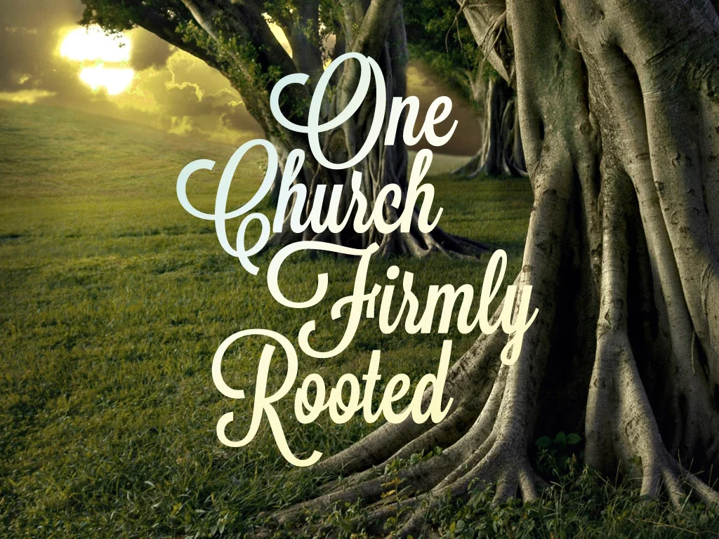 one church firmly rooted title slide.jpg