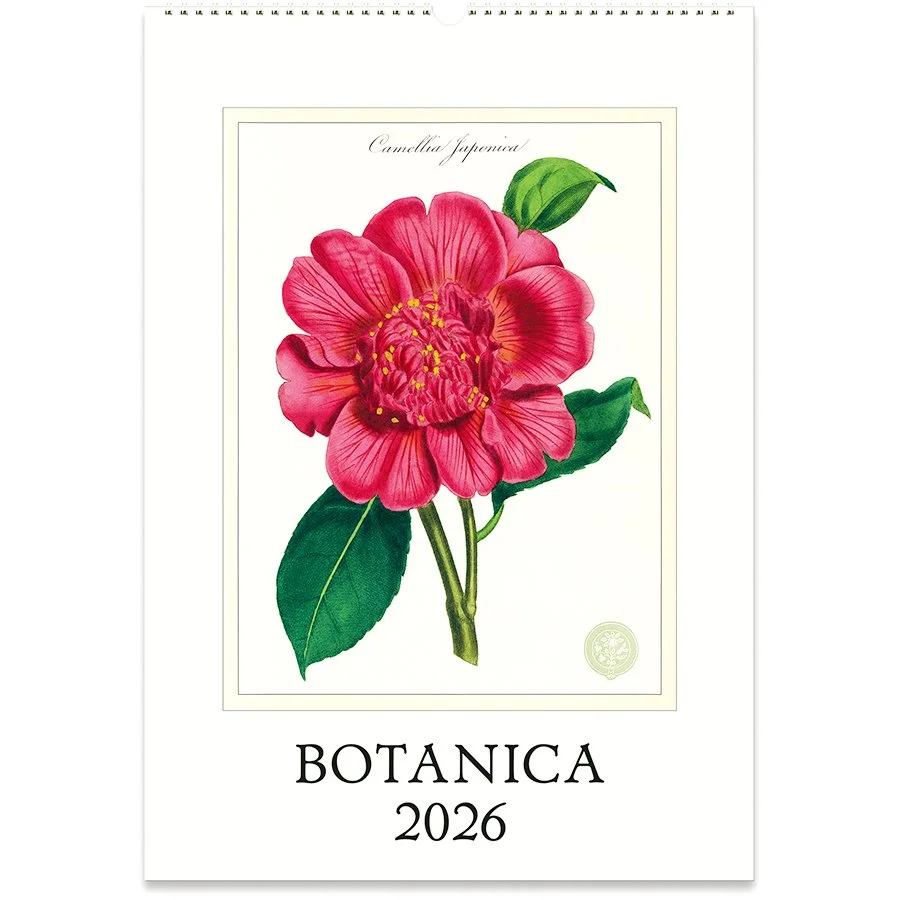 cavallini 2026 wall cal - botanica .jpg