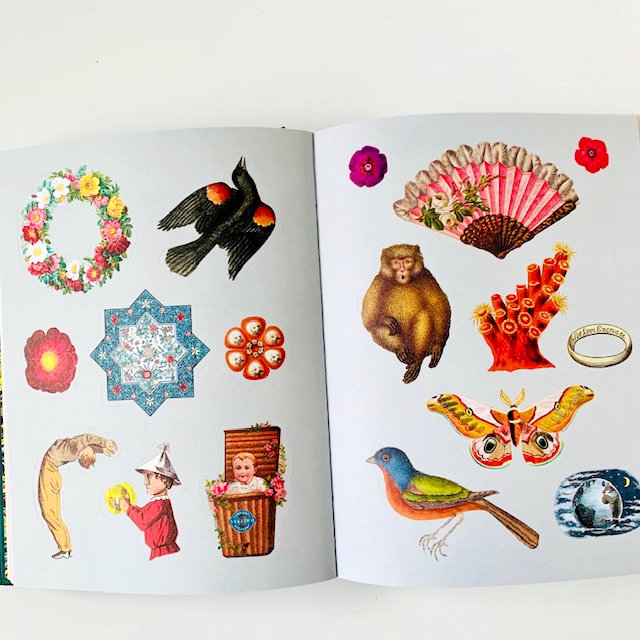 STICKER BOOKS - BIBLIOPHILIA & ANTIQUARIAN — Pickle Papers