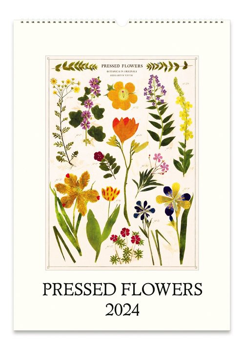 CAVALLINI 2024 PRESSED FLOWERS WALL CALENDAR — Pickle Papers