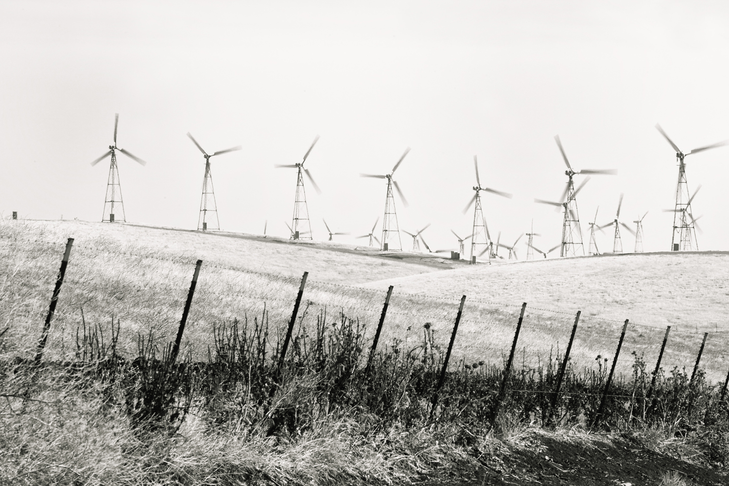 WIND FARM-1