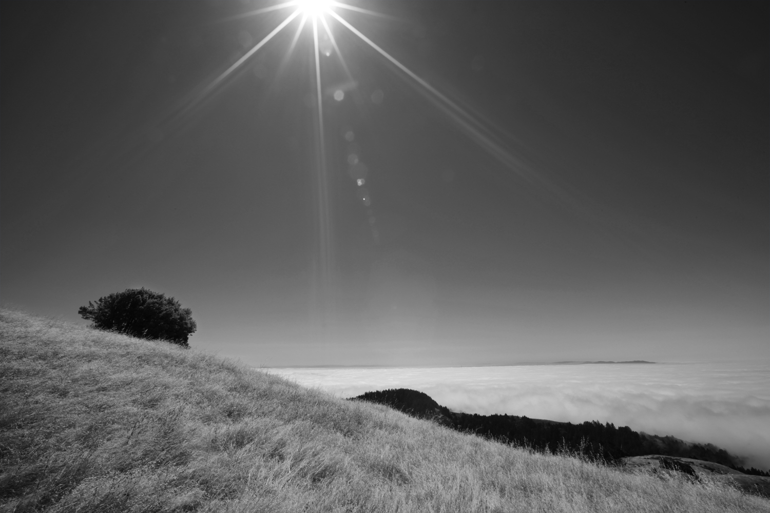 CLARITY