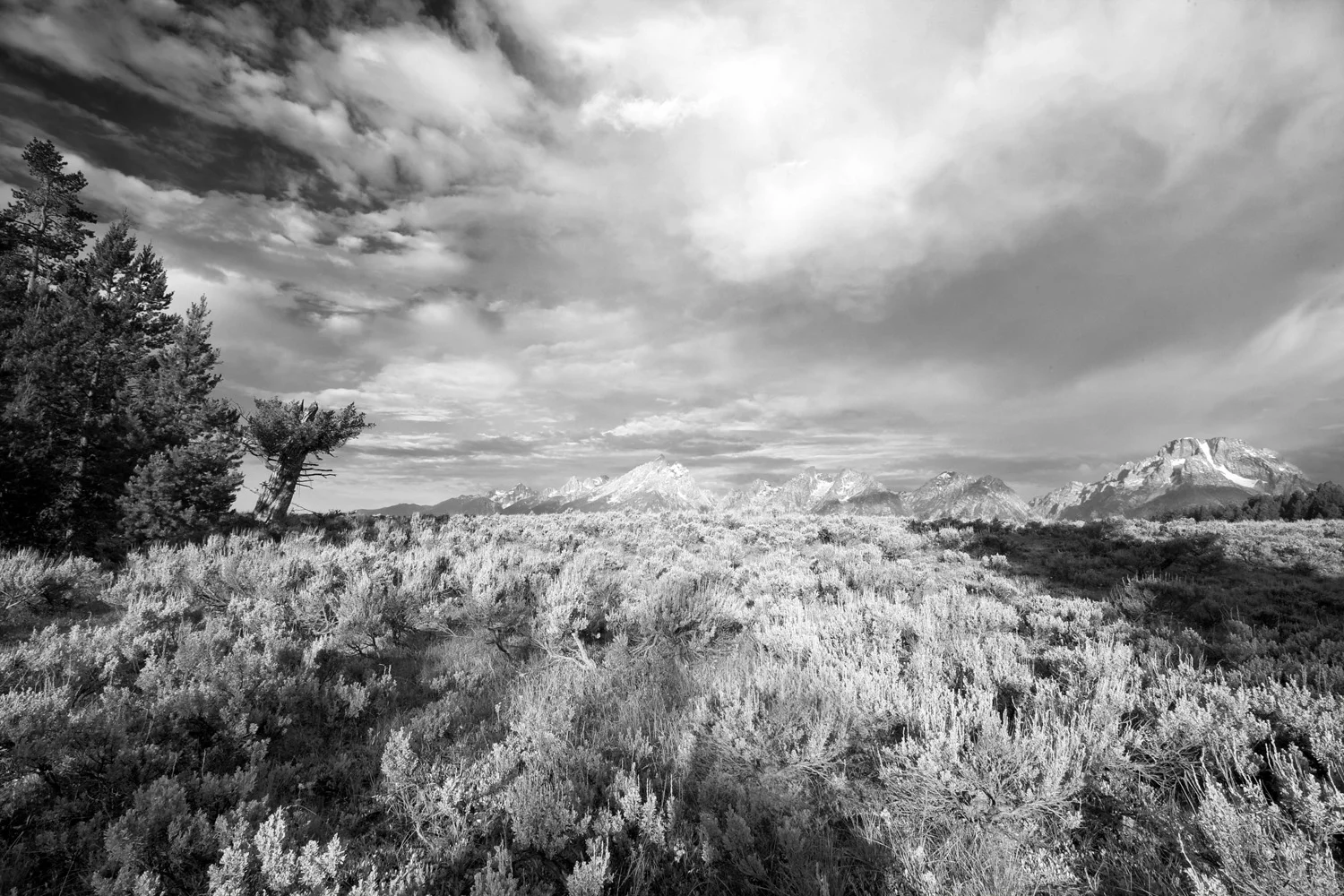 VALLEY FLOOR-1