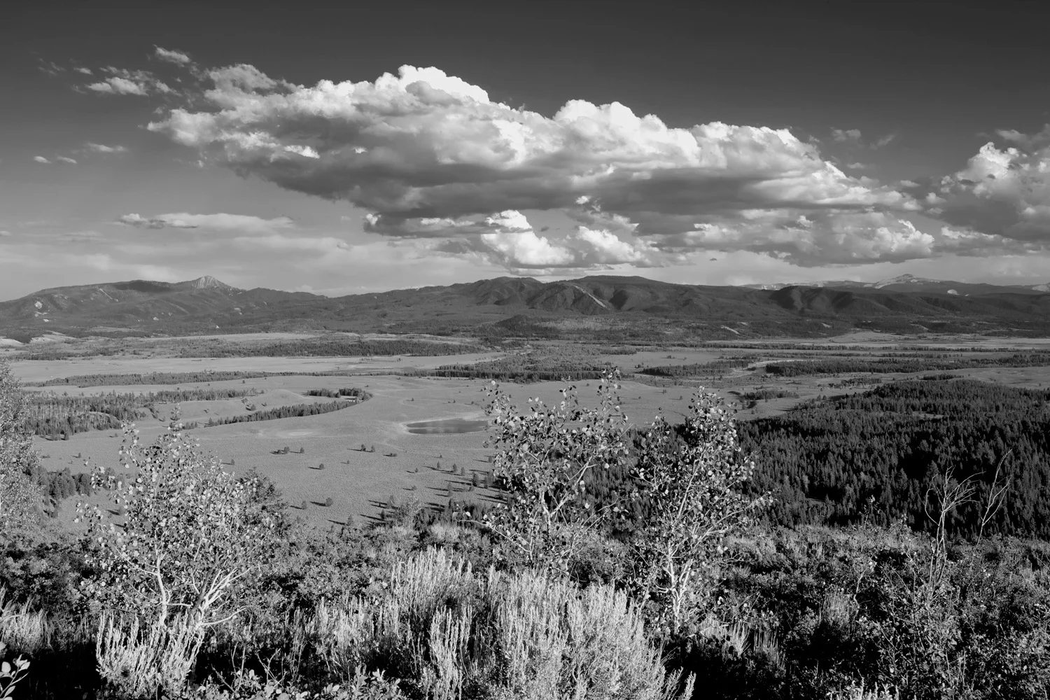 ELK PRESERVE-1