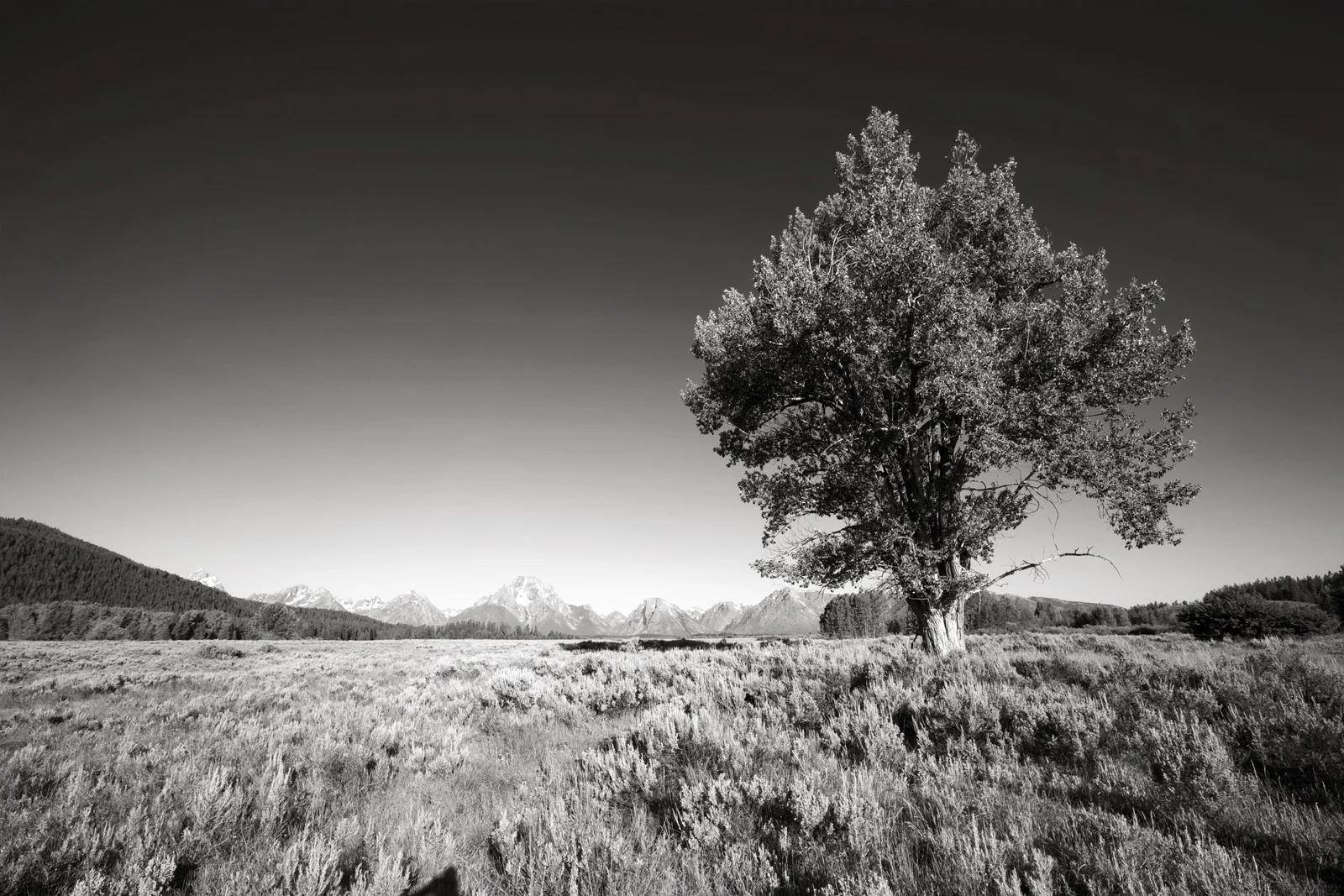 Oxbow Bend-1