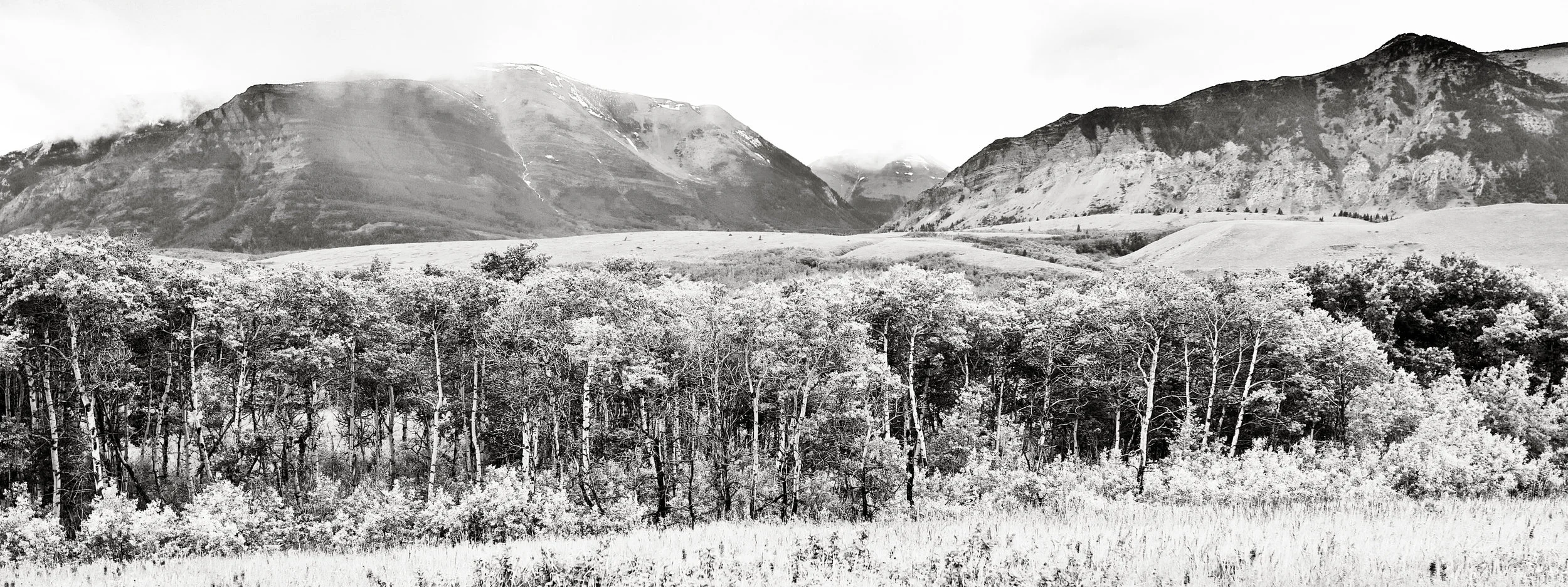 Alberta-Waterton_BW15x40.jpg