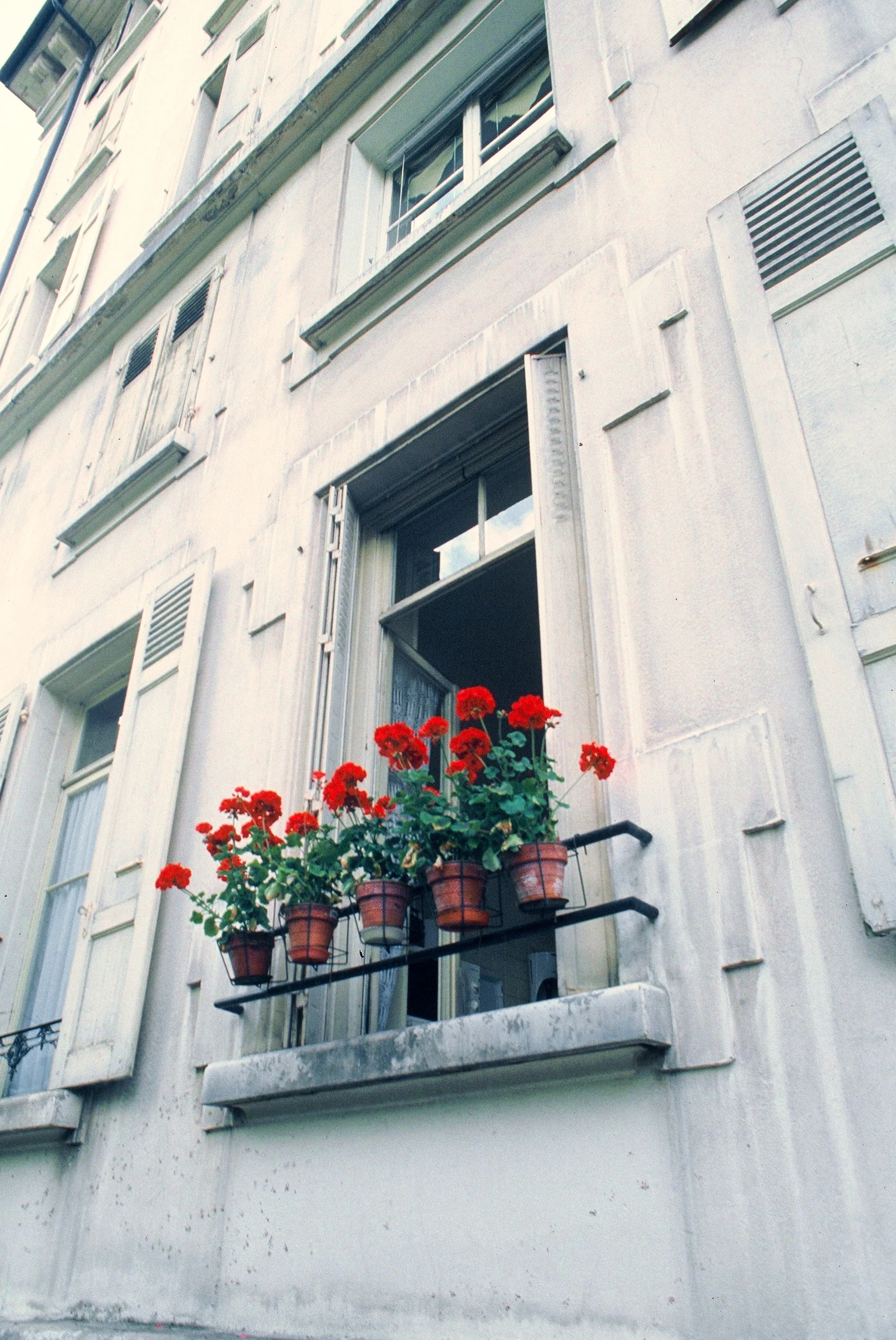 Red & Stone