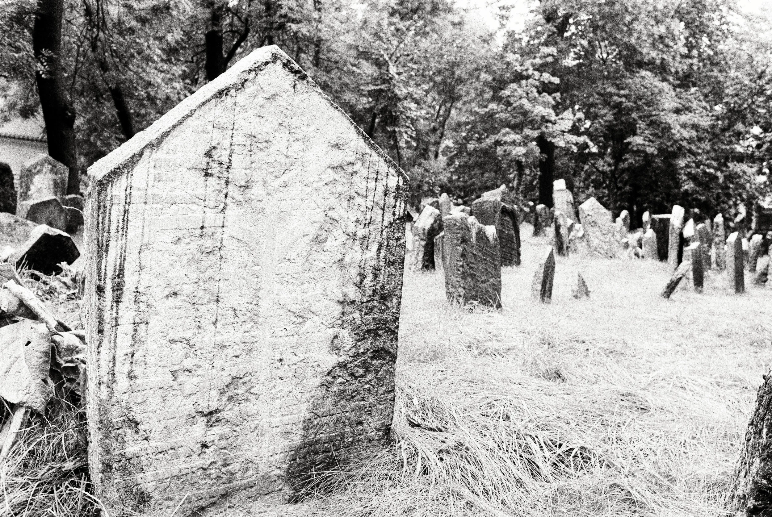 Old Jewish Cemetery Study-5