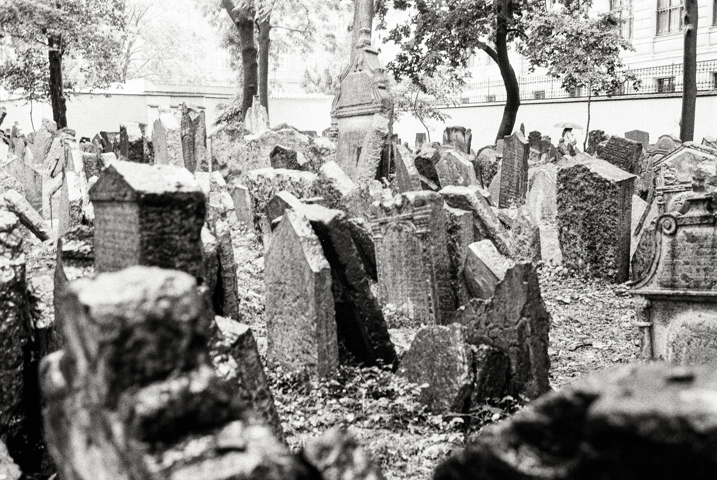Old Jewish Cemetery Study-3