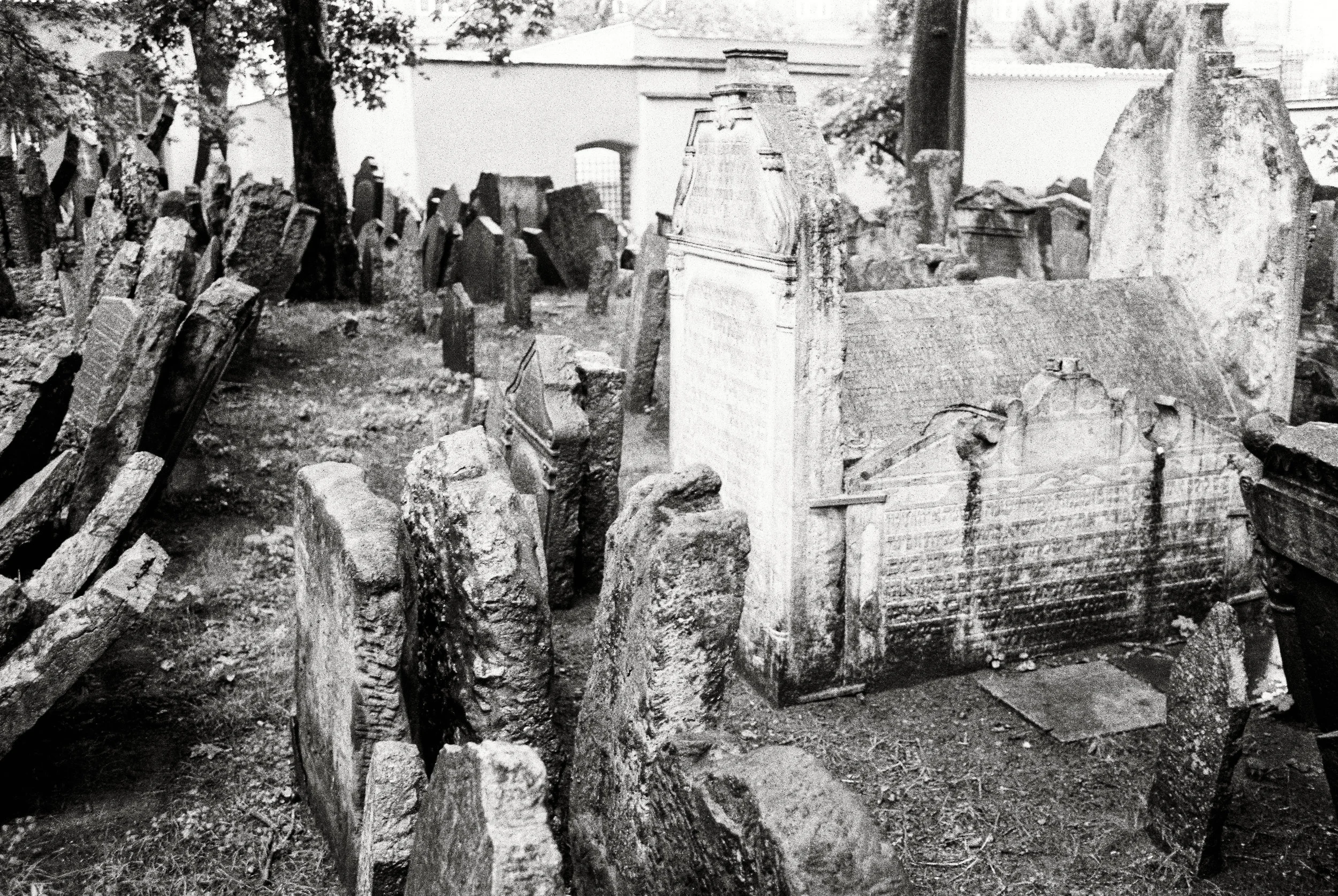 Old Jewish Cemetery Study-7