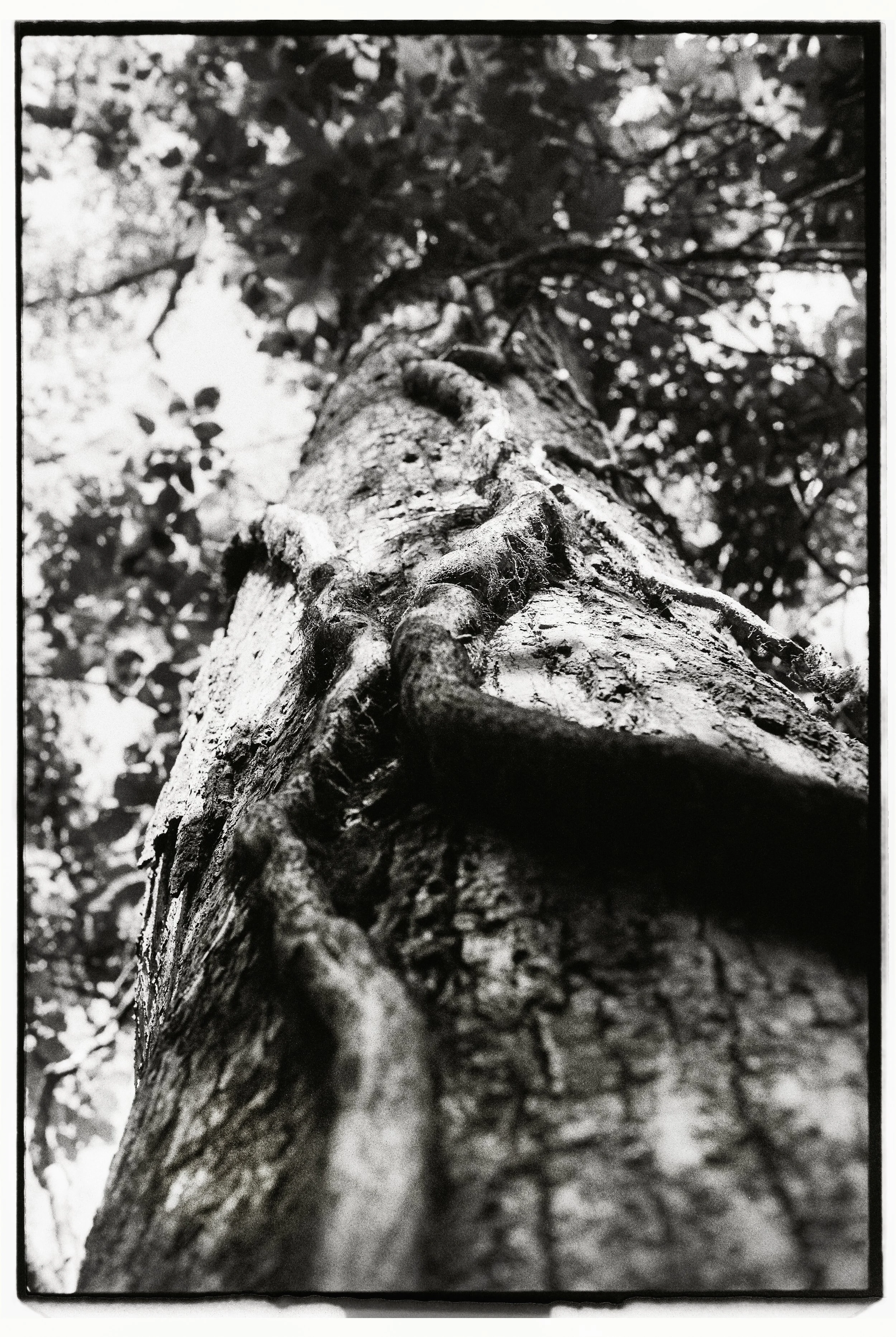 A higher level of learning, 2019