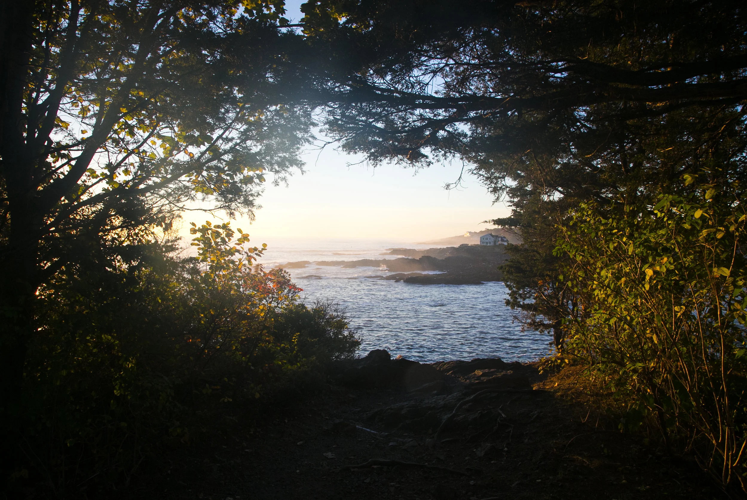 mainecoast.jpg
