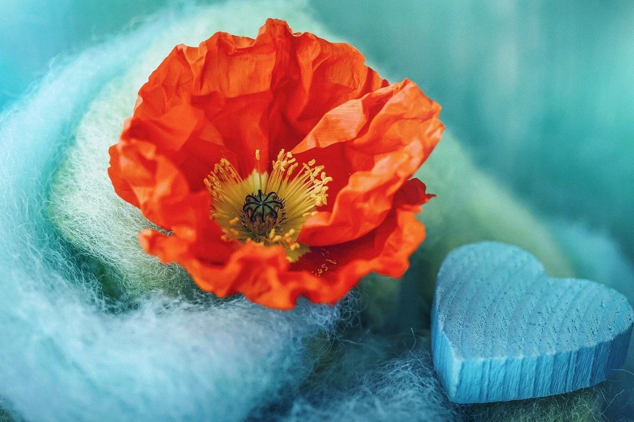 Mind, Body, and Soul