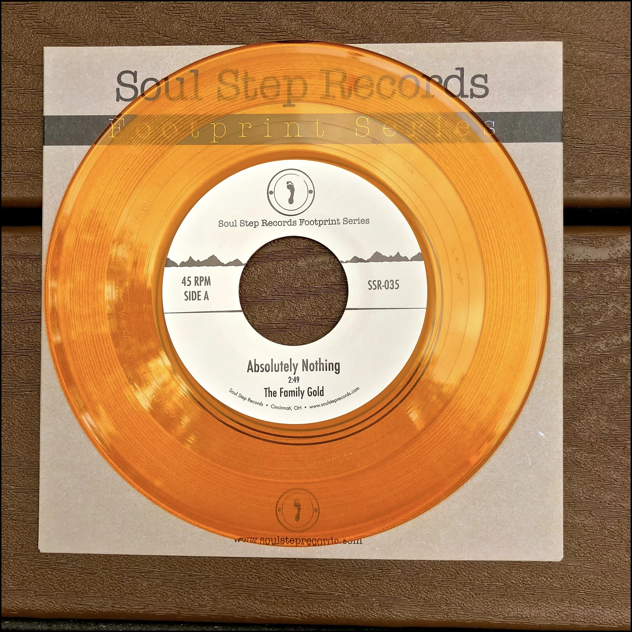 The Family Gold - Absolutely Nothing (Black Vinyl)