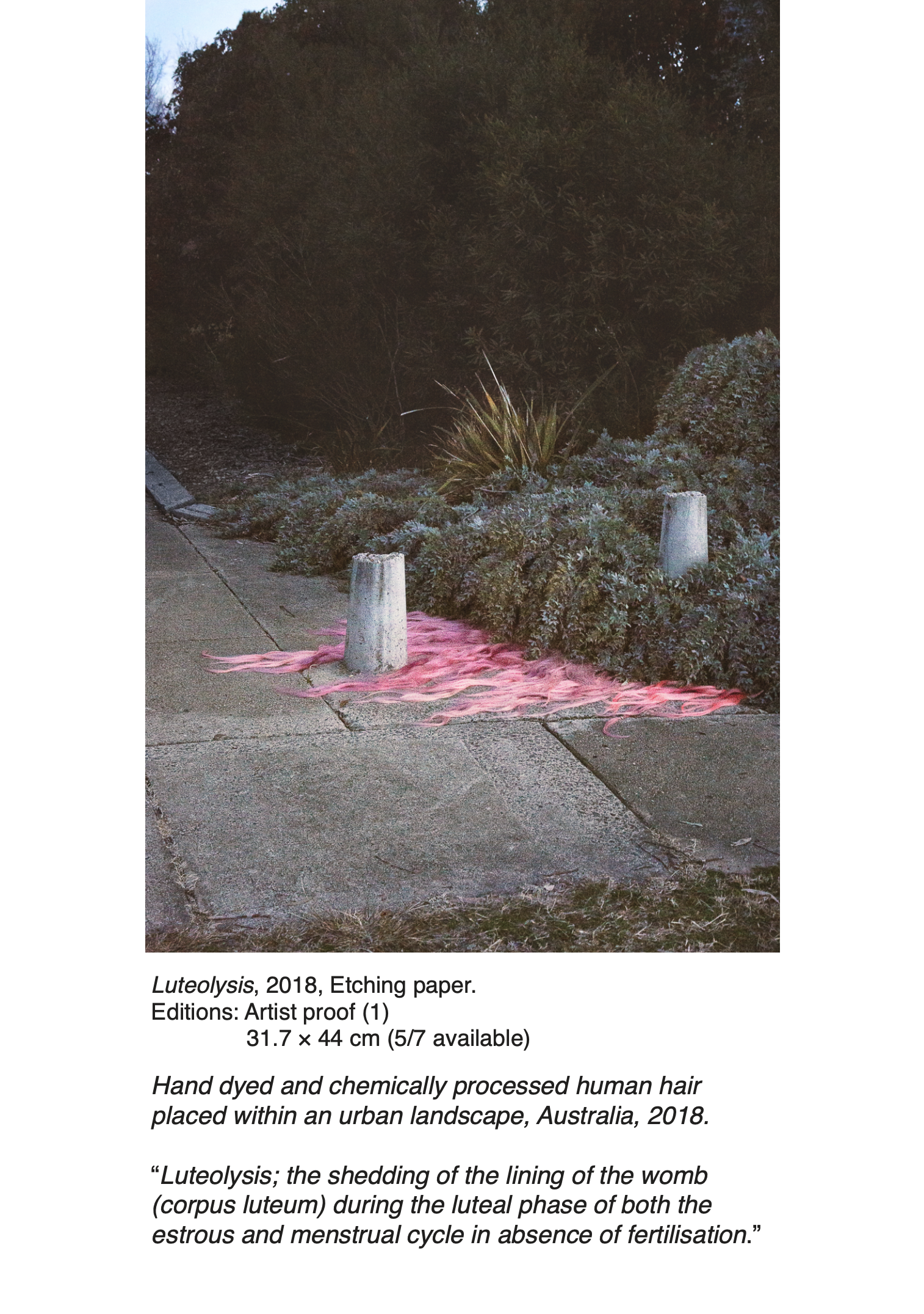 Screen Shot 2021-12-06 at 9.03.37 am.png