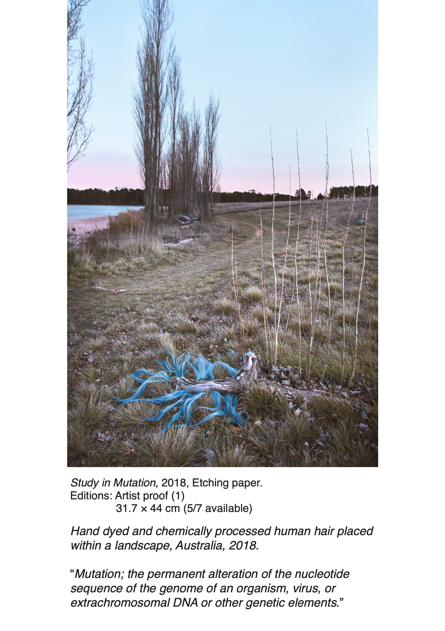 Screen Shot 2021-12-06 at 9.04.43 am.png