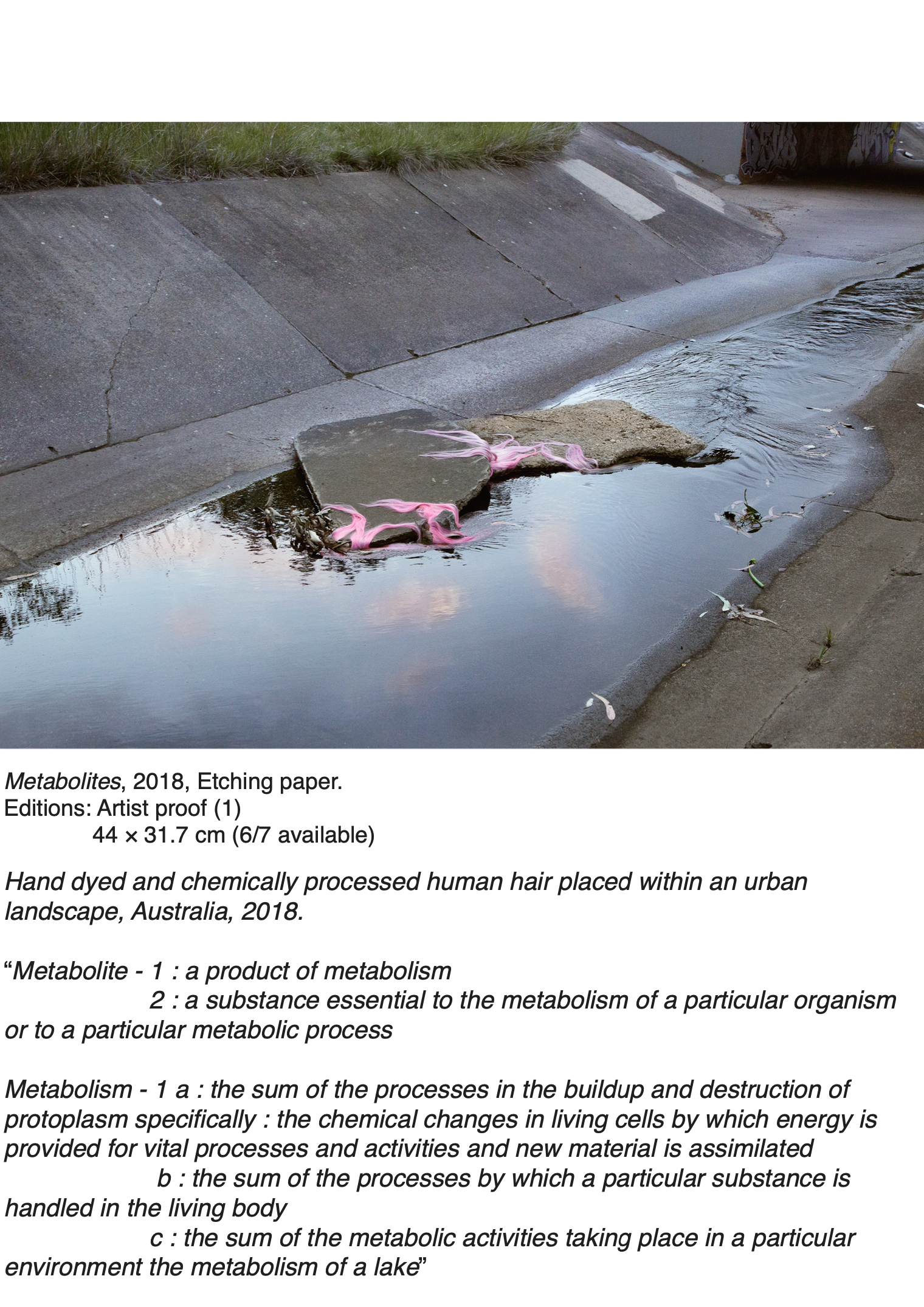 Screen Shot 2021-12-06 at 9.05.05 am.png