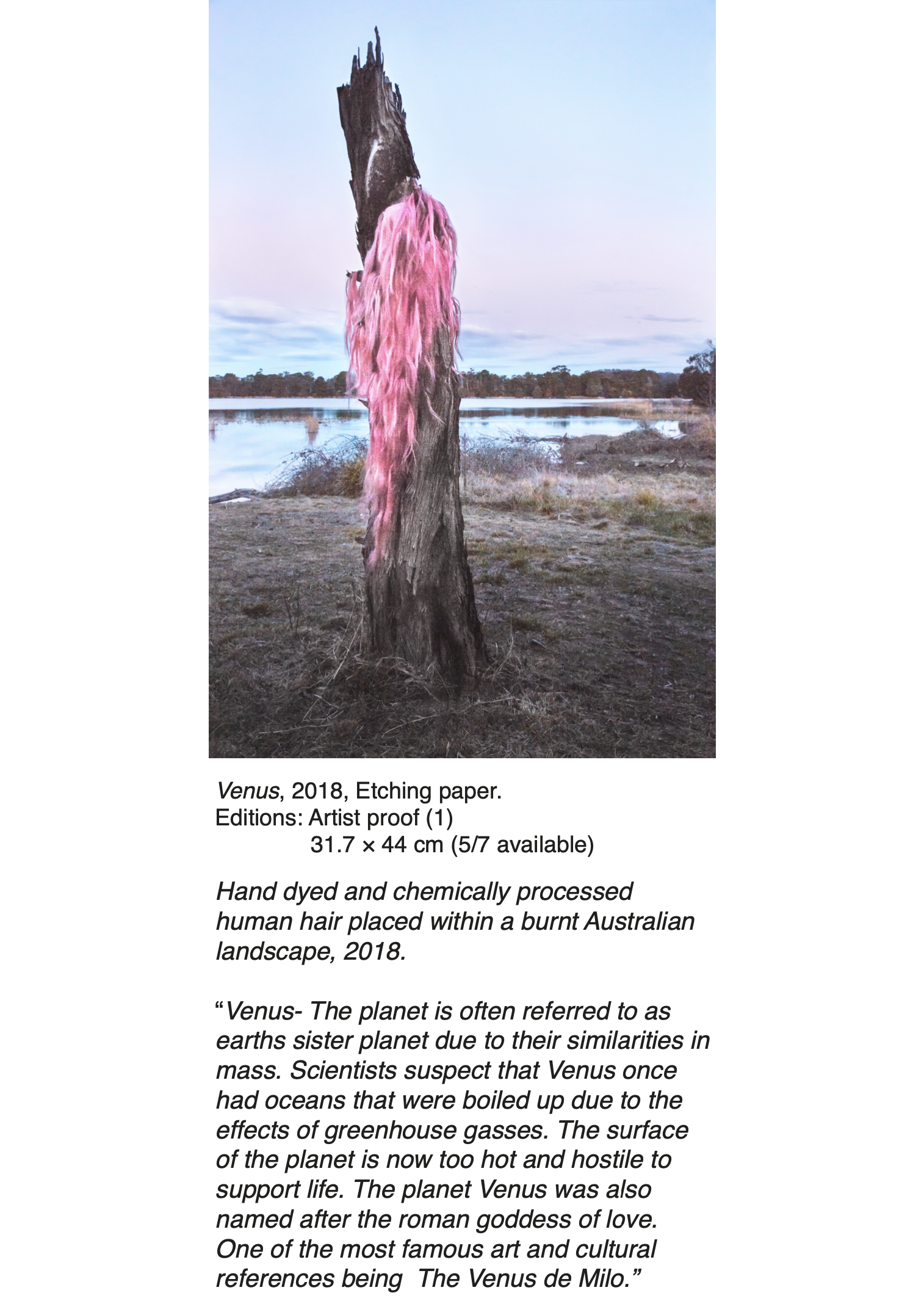 Screen Shot 2021-12-06 at 9.05.37 am.png