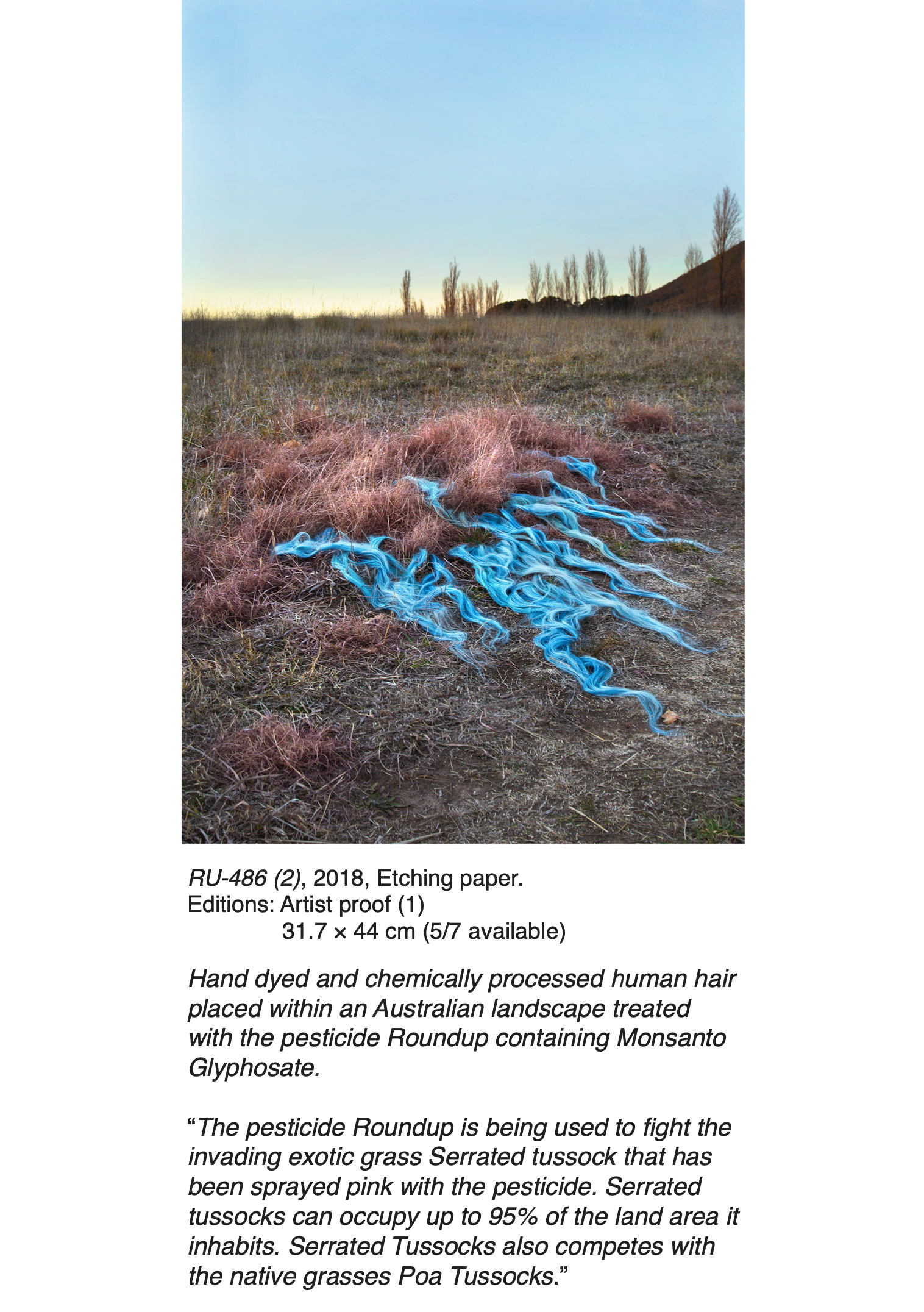 Screen Shot 2021-12-06 at 9.06.55 am.png