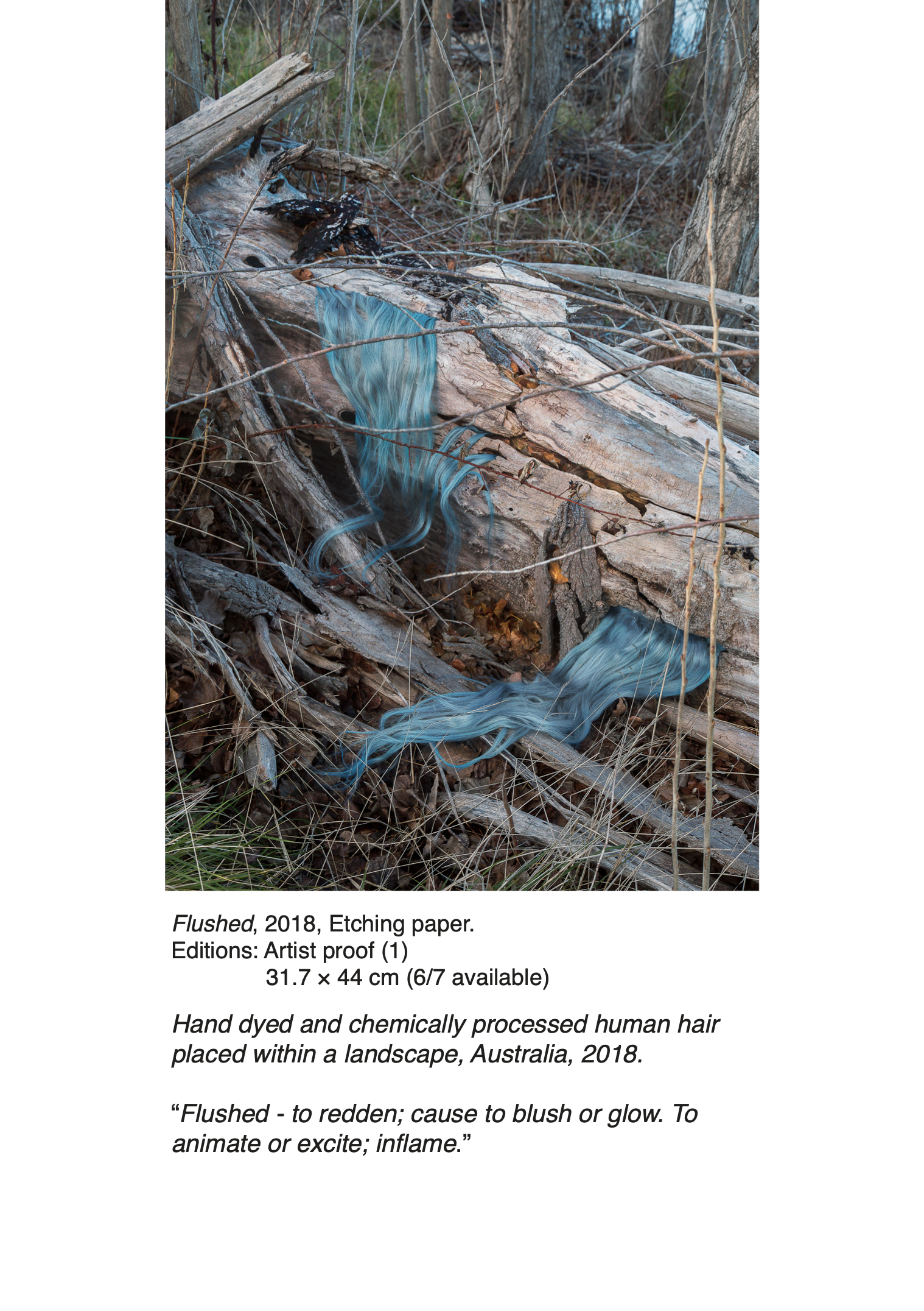 Screen Shot 2021-12-06 at 9.06.06 am.png