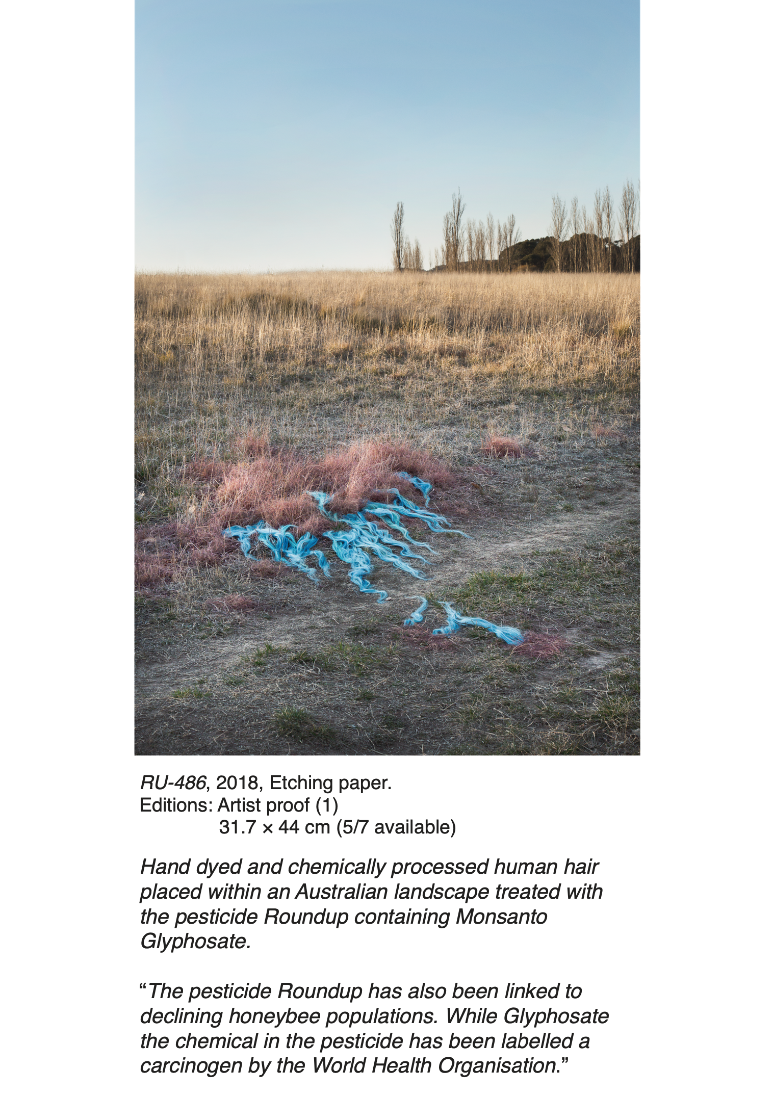 Screen Shot 2021-12-06 at 9.07.17 am.png