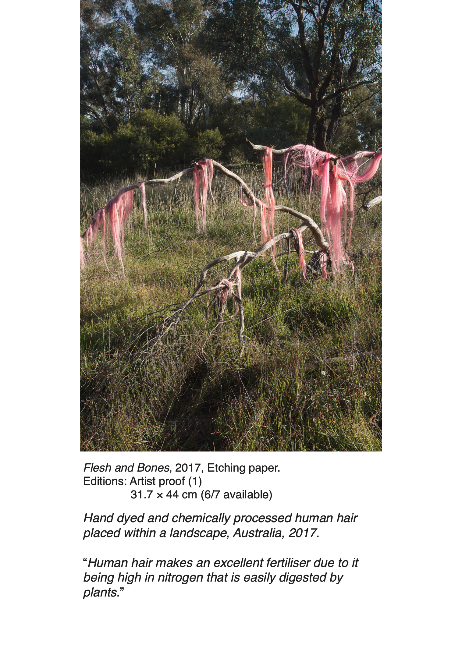 Screen Shot 2021-12-06 at 9.07.49 am.png