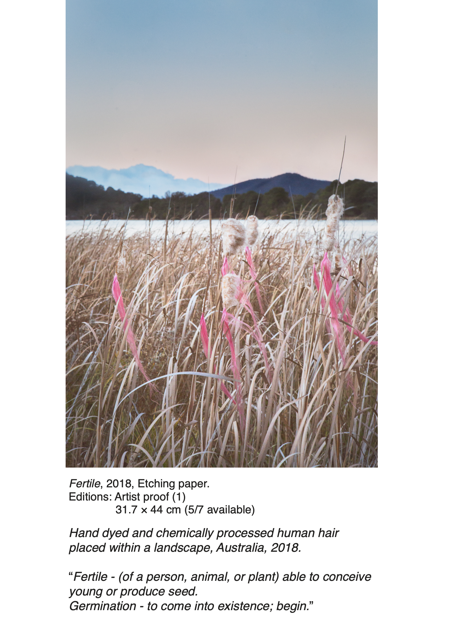 Screen Shot 2021-12-06 at 9.03.17 am.png