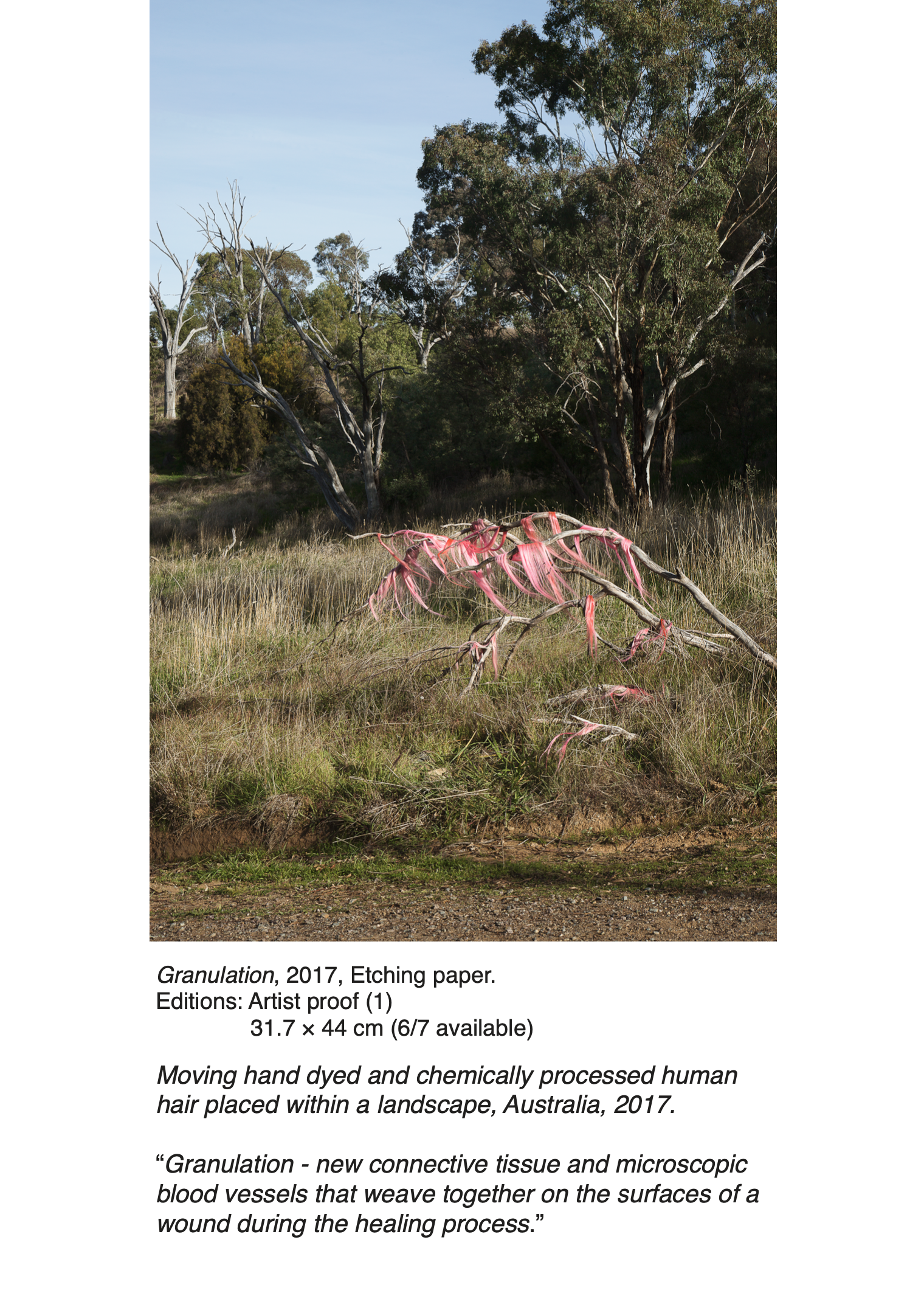 Screen Shot 2021-12-06 at 9.08.17 am.png