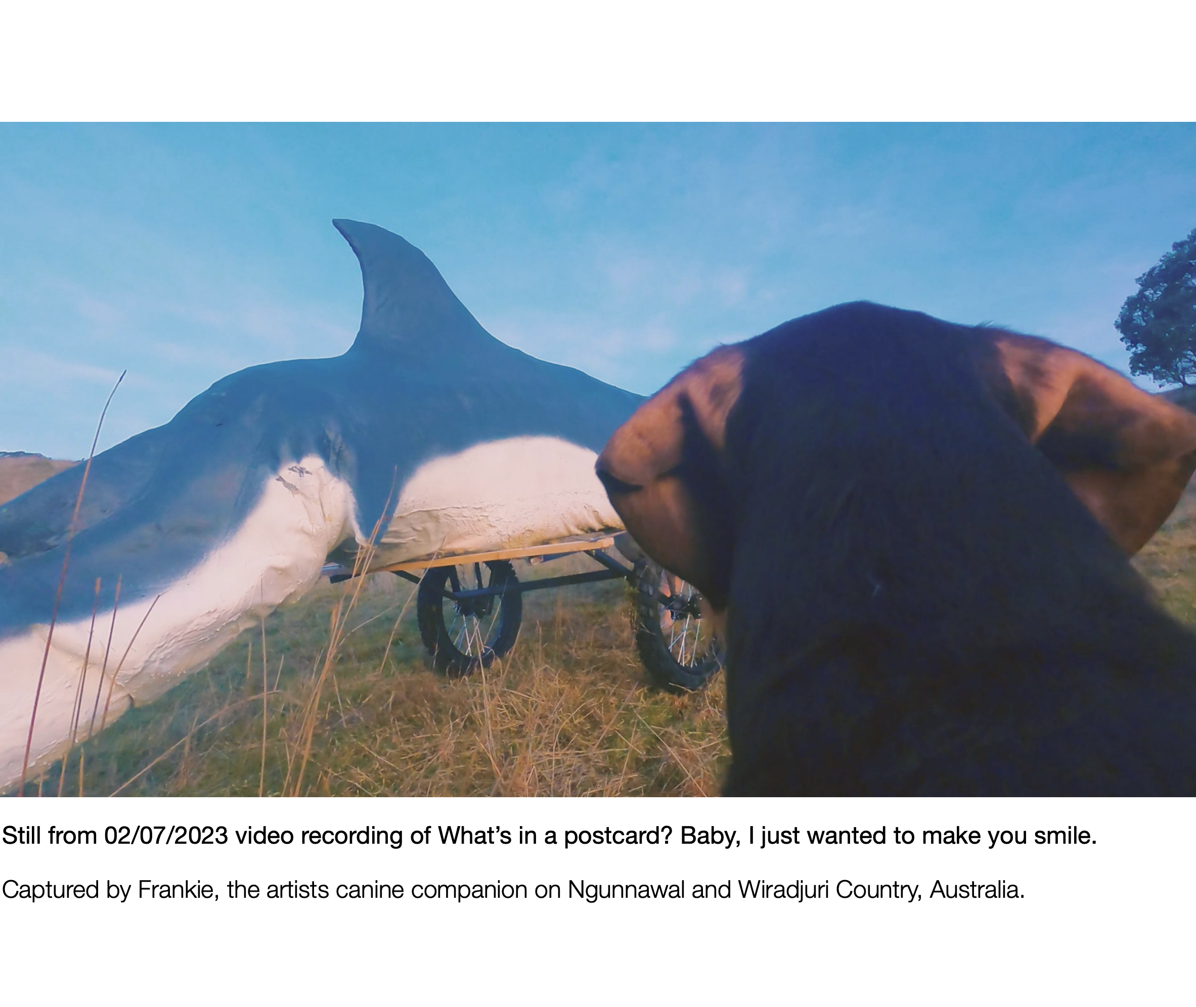 Screenshot 2024-03-06 at 11.58.42 pm.png