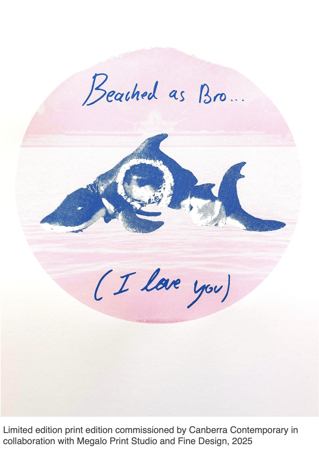 Screenshot 2026-01-12 at 2.45.05 pm.png