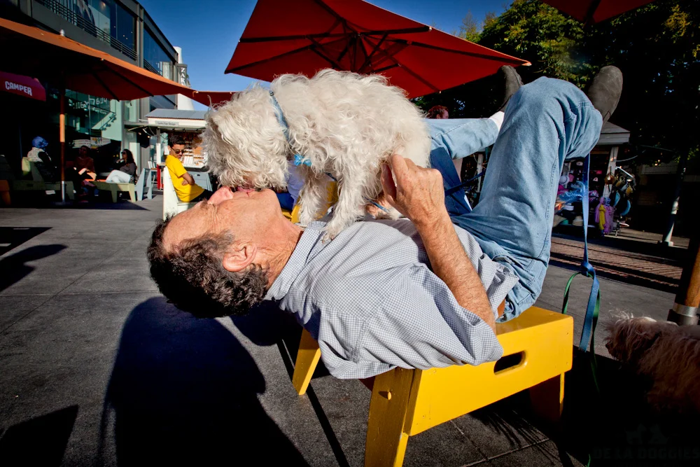 GroveDoggies-1.jpg
