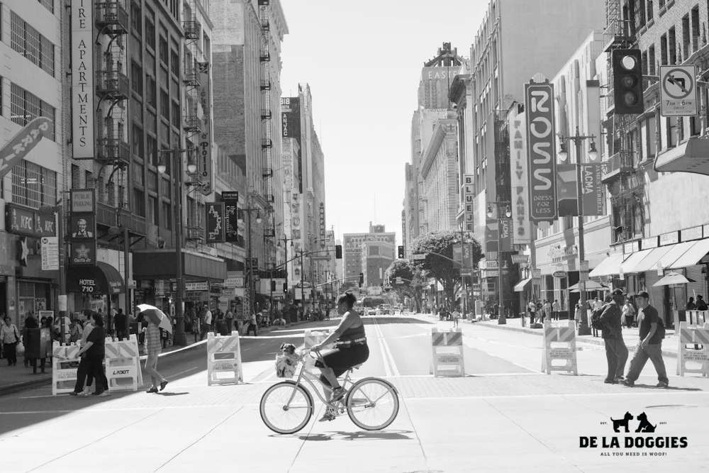 ciclavia-2.jpg