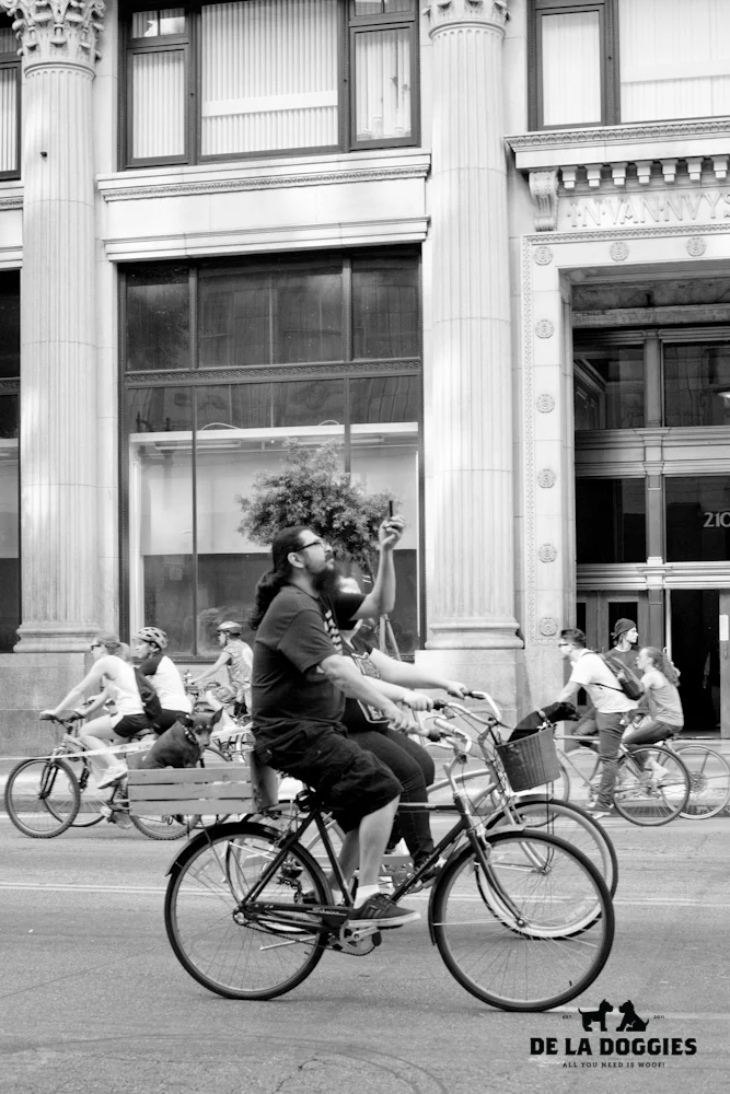 ciclavia-7.jpg