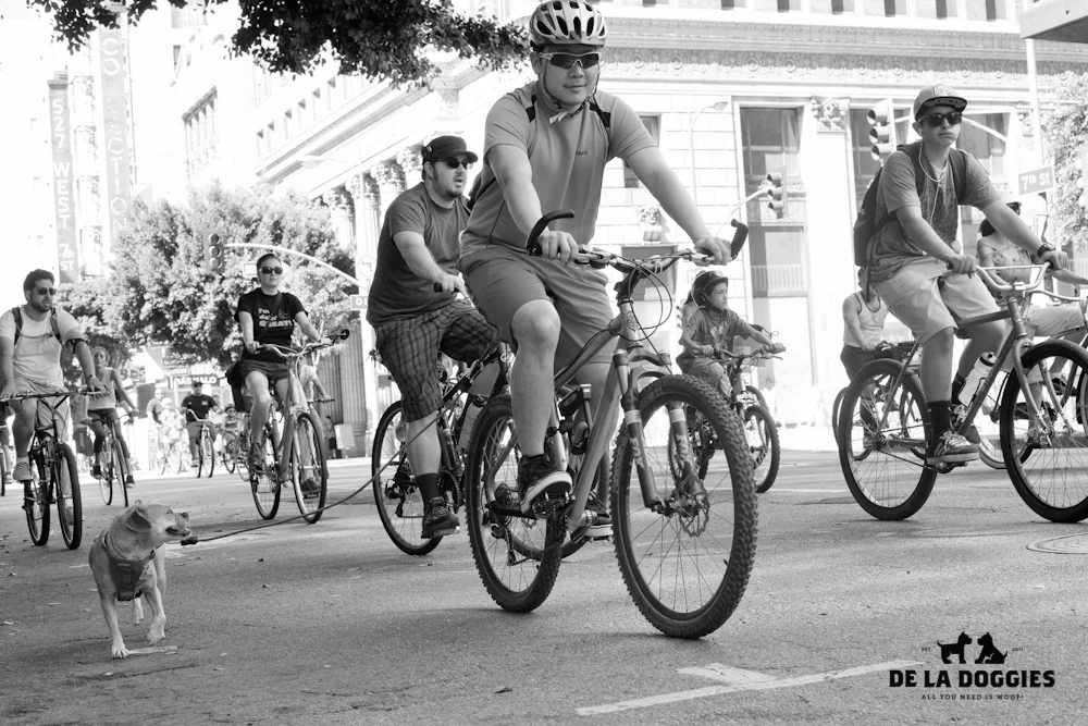ciclavia-3.jpg