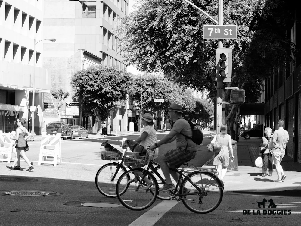 ciclavia-4.jpg