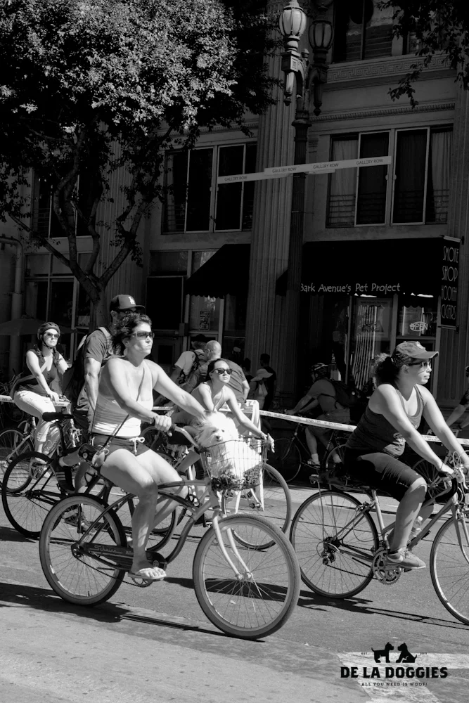 ciclavia-12.jpg