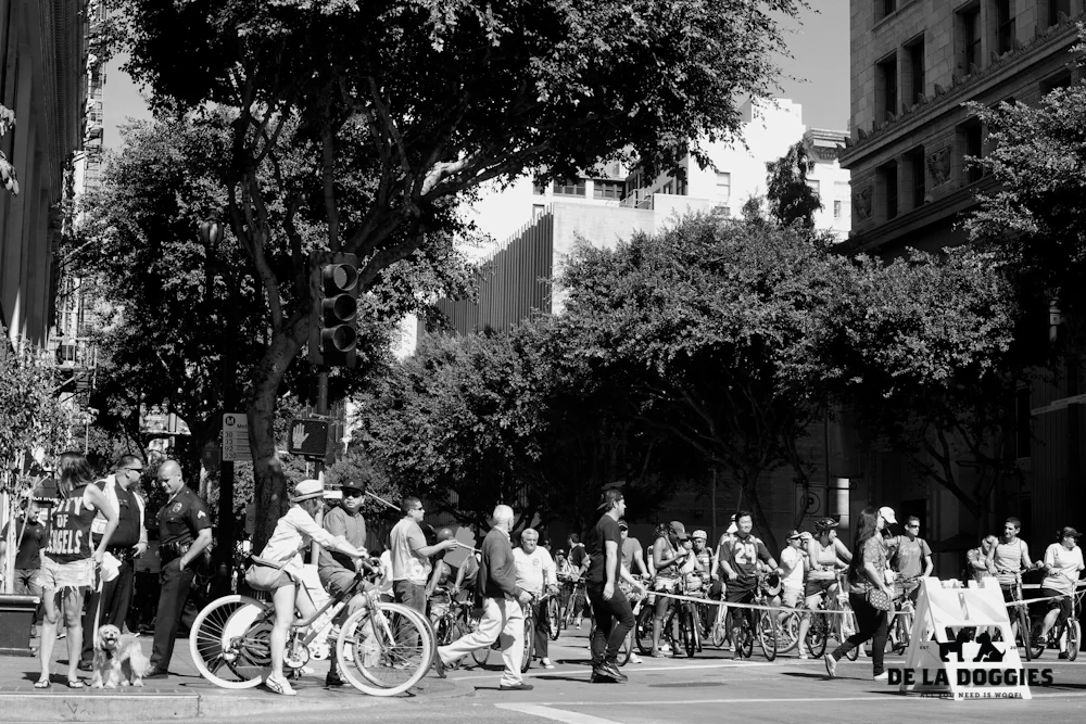 ciclavia-11.jpg