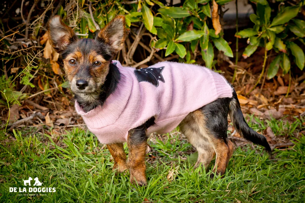 Puppies_1-15.jpg