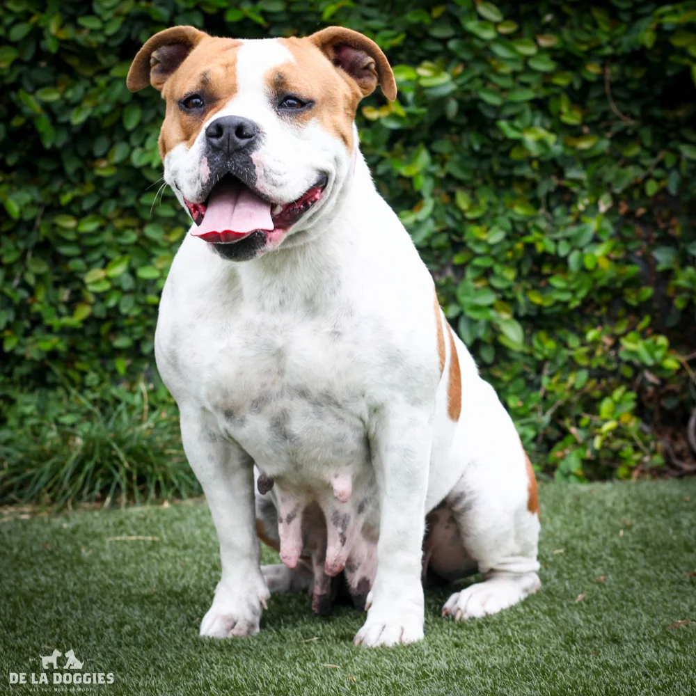 Jewel A1539504
