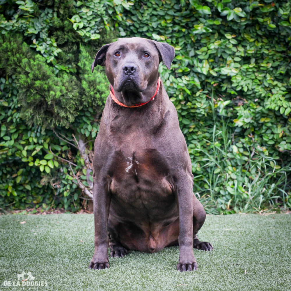 Leroy A1537788
