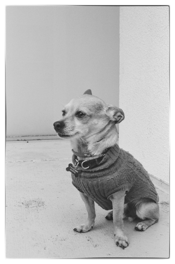 Chuy.jpg