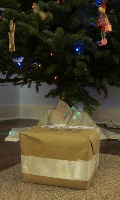 Box1.jpeg