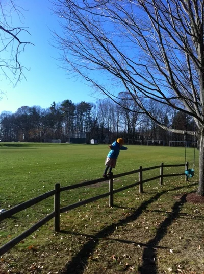 Fence.jpg
