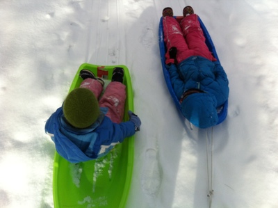 Sleds.jpeg