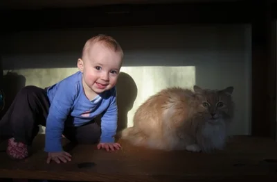 kidcat.jpeg