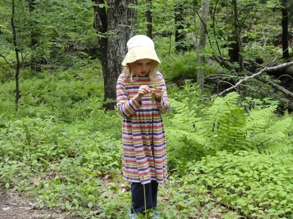 LeafFascination.jpg