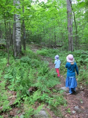 FathersDayHike.jpg