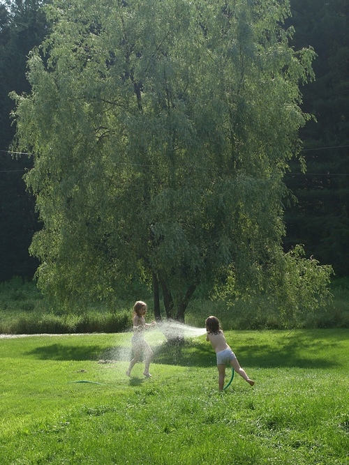 Sprinkler.jpeg