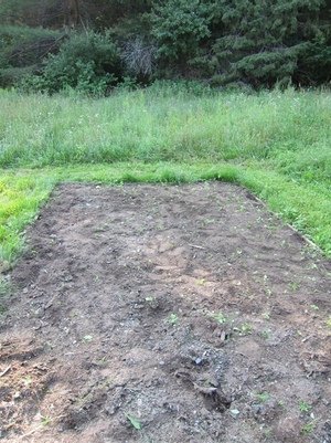 Weeded.jpeg